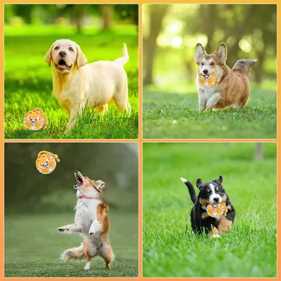 Pet Planet Chiens Balle Jouets Pour Chiens