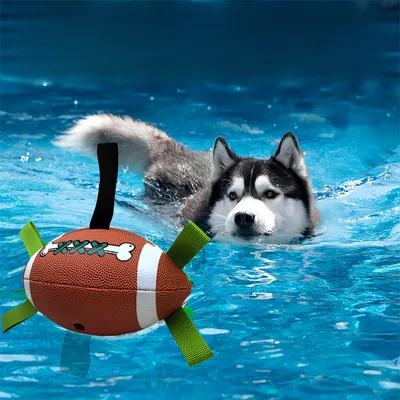 Pet Planet Ballon de football interactif pour chien