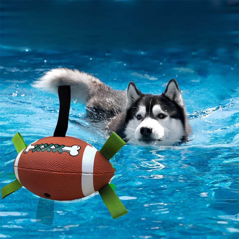 Pet Planet Ballon de football interactif pour chien