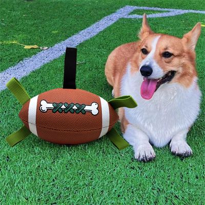 Pet Planet Ballon de football interactif pour chien