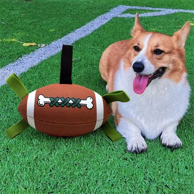 Pet Planet Ballon de football interactif pour chien