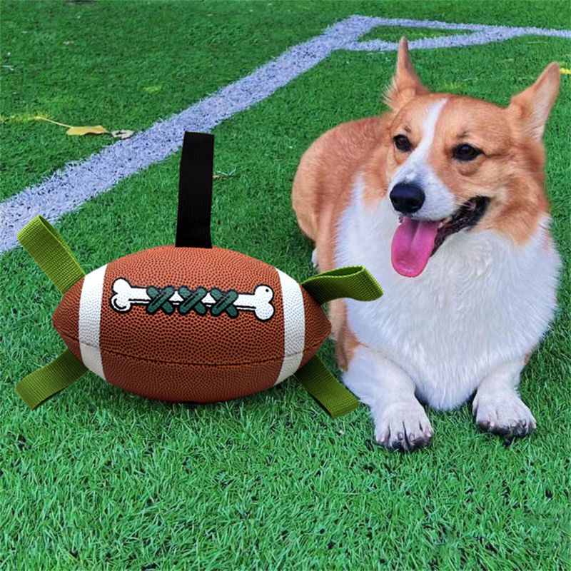 Pet Planet Ballon de football interactif pour chien