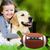 Pet Planet Ballon de football interactif pour chien