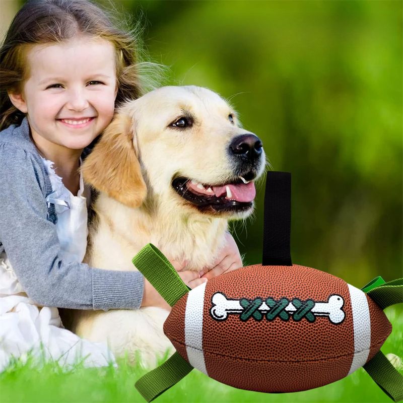 Pet Planet Ballon de football interactif pour chien