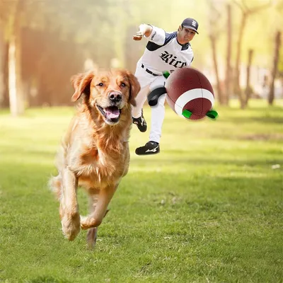 Pet Planet Ballon de football interactif pour chien