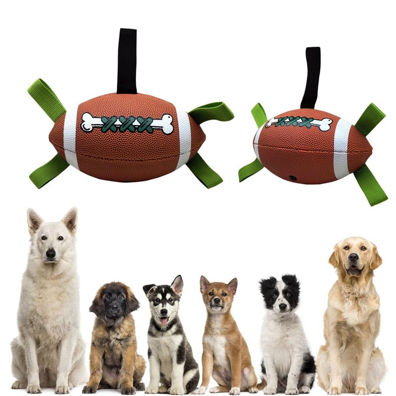 Pet Planet Ballon de football interactif pour chien