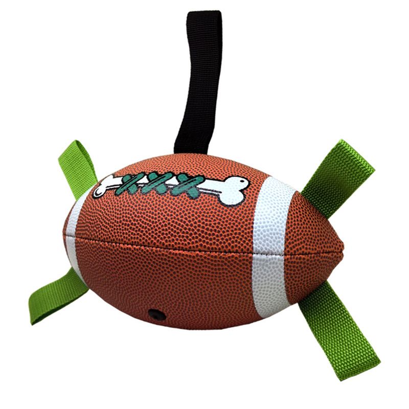 Pet Planet Ballon de football interactif pour chien