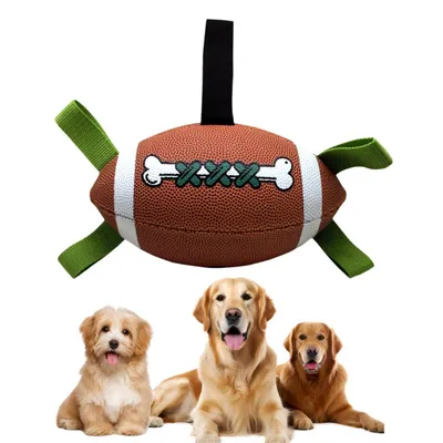 Pet Planet Ballon de football interactif pour chien