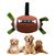 Pet Planet Ballon de football interactif pour chien