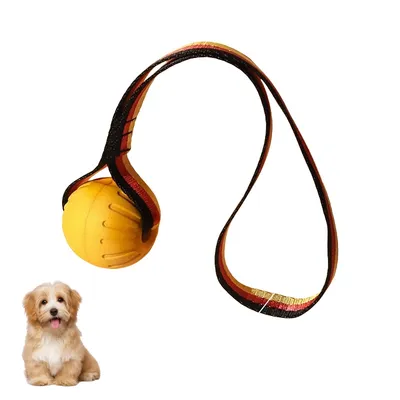 Petopia Balle jouet pour chien