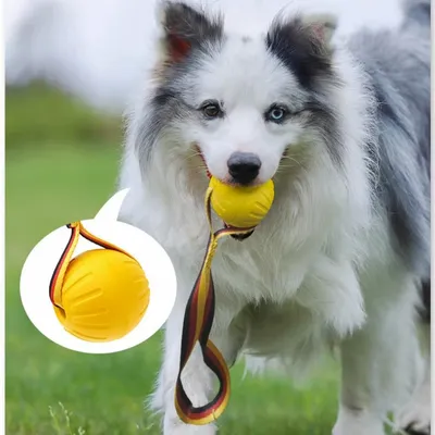 Petopia Balle jouet pour chien