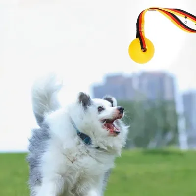 Petopia Balle jouet pour chien