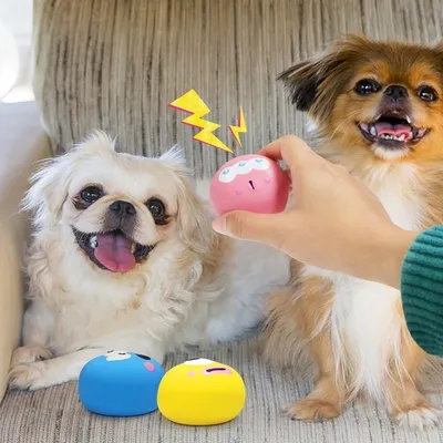 Pet Planet Chiens Teething Lot De Jouets En Latex Pour Chiens
