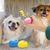 Pet Planet Chiens Teething Lot De Jouets En Latex Pour Chiens