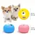 Pet Planet Chiens Teething Lot De Jouets En Latex Pour Chiens