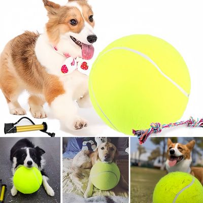 Pet Planet Chiens Grande Balle de Tennis Jouet