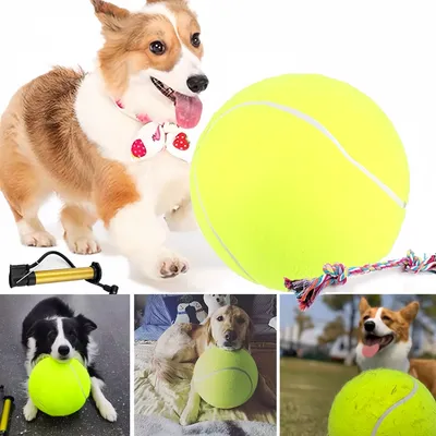 Pet Planet Chiens Grande Balle de Tennis Jouet Pet Planet Chiens Grande Balle de Tennis Jouet
