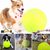 Pet Planet Chiens Grande Balle de Tennis Jouet