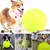 Pet Planet Chiens Grande Balle de Tennis Jouet Pet Planet Chiens Grande Balle de Tennis Jouet
