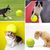 Pet Planet Chiens Grande Balle de Tennis Jouet