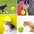 Pet Planet Chiens Grande Balle de Tennis Jouet