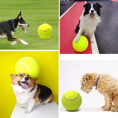 Pet Planet Chiens Grande Balle de Tennis Jouet