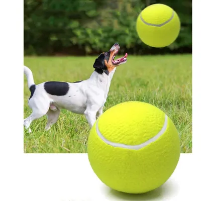 Pet Planet Chiens Grande Balle de Tennis Jouet