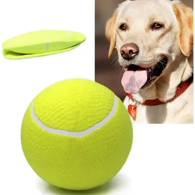 Pet Planet Chiens Grande Balle de Tennis Jouet