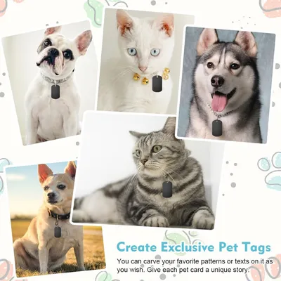 IntiMeg Médailles d'identification pour chiens et chats 30PCS