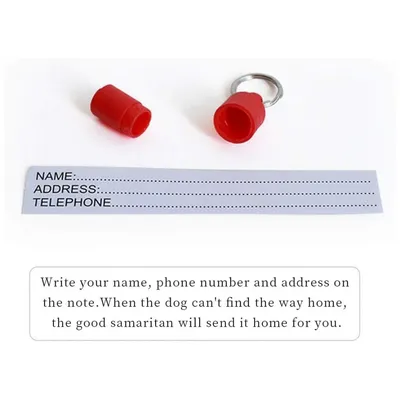 IntiMeg Médaille d'identification pour animal domestique