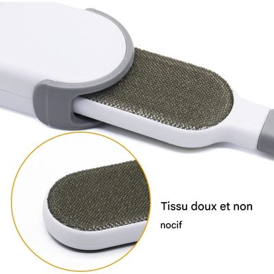 Pet Planet Chiens et Chats Hair Remover Brosse