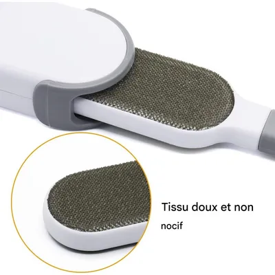 Pet Planet Chiens et Chats Hair Remover Brosse