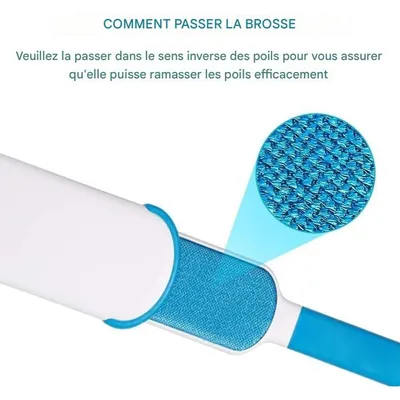 Pet Planet Chiens et Chats Hair Remover Brosse