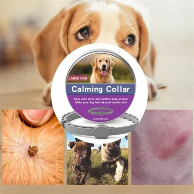 Pet Planet Collier calmant pour chiens