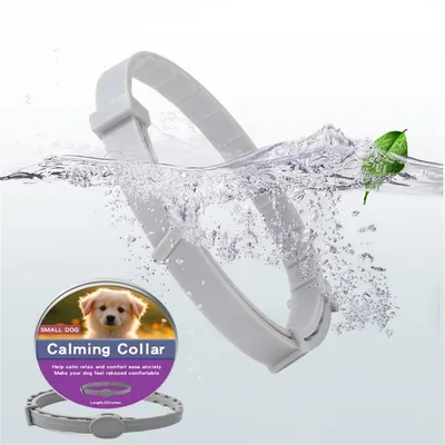 Pet Planet Collier calmant pour chiens