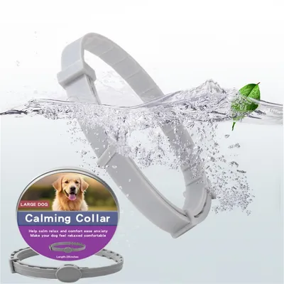 Pet Planet Collier calmant pour chiens