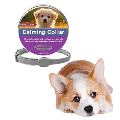 Pet Planet Collier calmant pour chiens