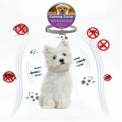 Pet Planet Collier calmant pour chiens