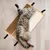 Tapis à gratter pour chat, tapis à gratter en sisal