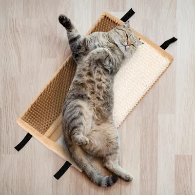 Tapis à gratter pour chat, tapis à gratter en sisal
