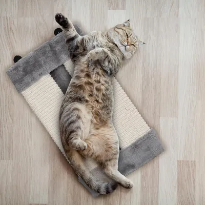 Planche à gratter d'angle pour chat