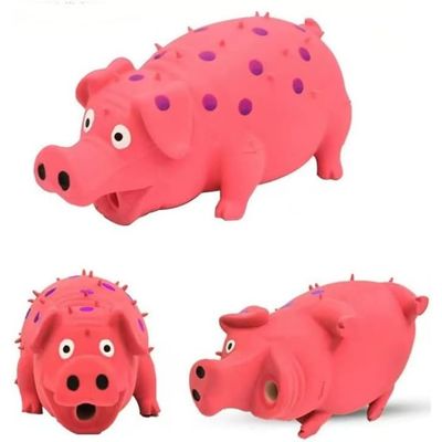 Pet Planet Chiens Jouets Cochons en Latex Naturel Sonore
