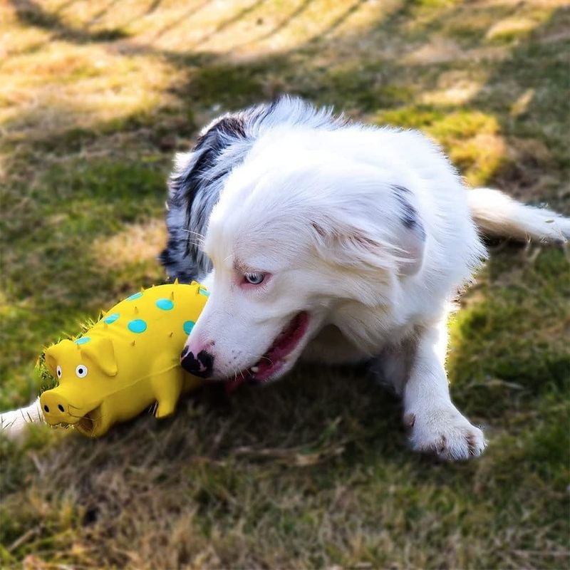 Pet Planet Chiens Jouets Cochons en Latex Naturel Sonore