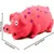 Pet Planet Chiens Jouets Cochons en Latex Naturel Sonore