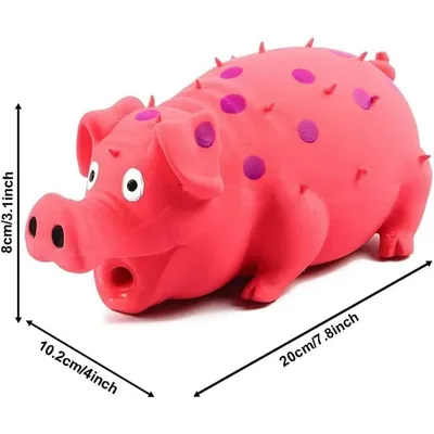 Pet Planet Chiens Jouets Cochons en Latex Naturel Sonore