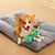 Jouet couineur pour chien, jouets en peluche pour animaux de compagnie