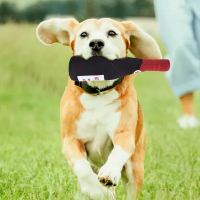 Pet Planet Chiens Vin Rouge Deux Jouets à Couinement