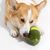 FurryFusion Jouet de dentition pour chien