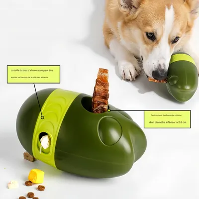 FurryFusion Jouet de dentition pour chien