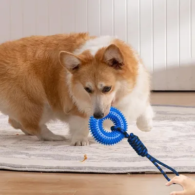 Petopia Jouet couineur pour chien